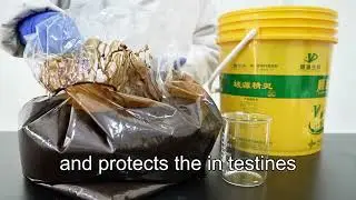 Aquaculture Pond Protect-C Organic Carbon Source #chenyuanbiotech #aquatic #aquaculture