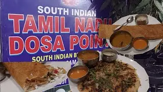 Tamil Nadu Dosa Point в Лакхнау | Попробуйте досу в Южной Индии | Завтрак | Обед | Ужин #kritikikitchen