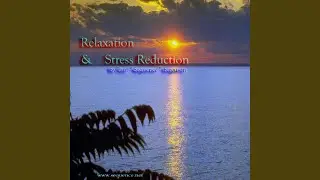 Relaxation Phase 2 (Time 19:46)