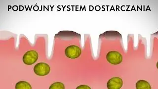 Laminina-opinie - System Regeneracji Kom&oacute;rek Sk&oacute;ry
