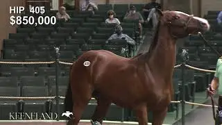 Keeneland September 2020: Hip 405 Into Mischief - Special Me