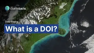 What is a DOI?