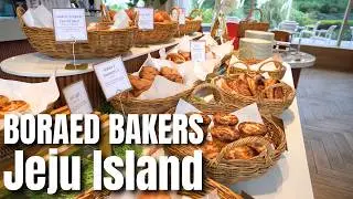 BORAED BAKERS in Jeju Island, South Korea - Amazing Bakery Tour