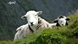 The Spirit and Essence of the Lake District Dramatic Art Photos By John Phoenix Hutchinson.