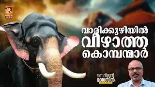 മലയാളി ആനപ്പെരുമ കടൽ കടന്ന് സ്പെയിനിലും കെനിയയിലും അമേരിക്കയിലും | Central Magazine