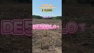 lotes 10x20 precio por apertura $13,000 Aprovecha y reserva Ahora #propiedadenventa