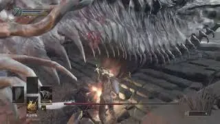 SL1 WKTA - Ancient Wyvern