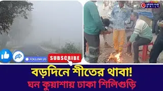 North Bengal News | Winter sets in on Christmas! Dense fog covers Siliguri and surrounding areas ...