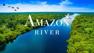 Amazon River | Longest River In The World | Amazon River Stock Video | No Copyright