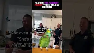 ranking top 5 funniest trash talking parrot moments #fypage #viralvideo #funny #parrot #ranking