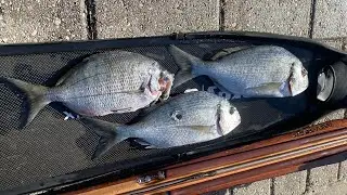Pesca sub Marina di Pisa - basso fondo- pesca sub principianti