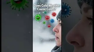 Does Cold Weather Really Cause Colds? ❄️🤧 | Myth Explained&rdquo; #ColdWeather #HumanBodyFacts#MedicalMyth