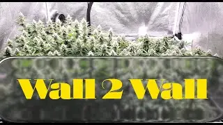 Seed 2 Smoke / Сезон 2, Эпизод 9 / Органическая марихуана / Выращивание марихуаны: легко / Живая ...