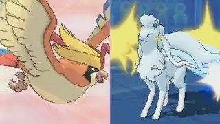 LES ATTAQUES INTERDITES - COMBATS COMMENT&Eacute;S VGC 2018 - POK&Eacute;MON ULTRA-SOLEIL/LUNE