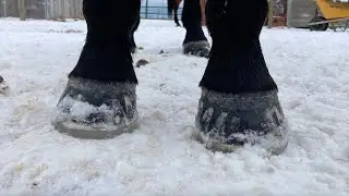EasyShoe Versa Grip Octo in the Snow
