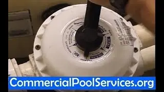 Pool Service Orange County Ca | Swimming Pool Service Company | Pool Maintenance