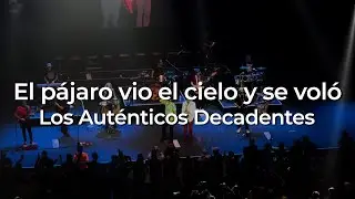 Los Auténticos Decadentes - El pájaro vio el cielo y se voló
