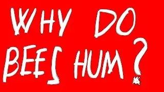 Why Do Bees Hum ?