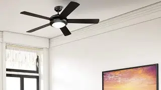 Top 10 Best Ceiling Fan 2021