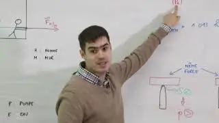 L'Ecole &agrave; la Maison - Sciences (R&eacute;vision 7) : Forces et pression