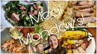 Meal Mondays Collaboration ||  Large Family Meals Of The Week