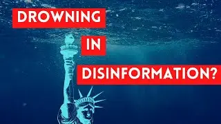 Does Disinformation Threaten Democracy?