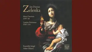 Missa Charitatis, ZWV 10: Kyrie
