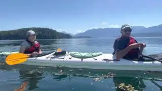 North Island Kayaking experience #northislandkayak #telegraphcove #britishcolumbia #torism #nature