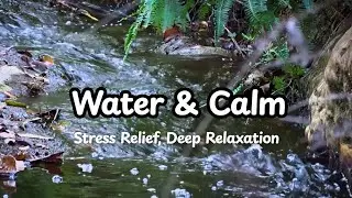 No Stress Water ASMR 🌊 Soothing Sounds to Melt Away Anxiety & Tension