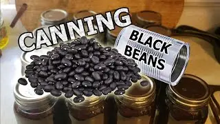 Canning Black Beans - Wee Garden Homestead