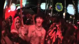 Fractal Forest Shambhala 2011 Mat The Alien Video Set