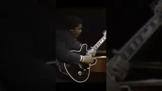B.B. King - Live in Dallas (1983) - Full Concert #bbking