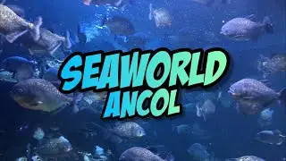 Keren Banget SEAWORLD, ANCOL Jakarta | Info Wisata & Virtual Tour