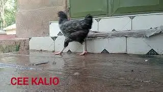RELAXING VILLAGE GIRL MORNING ROUTINE