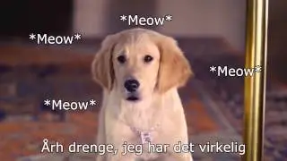 De Gyldne Hentere og Den Sindsoprivende Regnbue