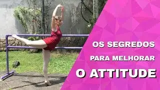 Os segredos de um bom Attitude