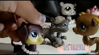 LPS: elementos da harmonia || EP 1||( primeiro dia e confusão...)⚠Creditos a ClaraXmoon LPS⚠