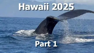 Hawaii | NCL Cruise | Pride of America | Disneys Aulani
