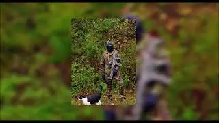 Print Shoot Repeat - Paint Your Rifle (2024 Audio Mix)