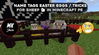 Name Tag Easter Eggs / Tricks for Sheep in Minecraft🔥🔥✌🤘🤘#shorts #MKshorts || Minecraft #25