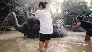 Amazing Experience at the Lombok Wildlife Park