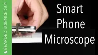 DIY Phone Microscope (Physics)