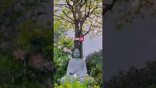 C&aacute;i g&igrave; kh&ocirc;ng phải của m&igrave;nh th&igrave; m&igrave;nh đừng lấy #loiphatday