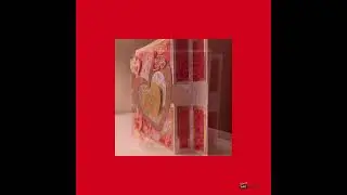 Fancy Fold Valentine Cards