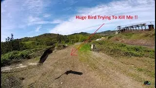 TBS Crossfire And New Taranis X9D Plus First Flights At Umpqua River