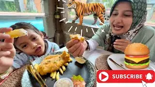 MAKAN BARENG HARIMAU 🐅 DI KEBUN BINATANG‼️