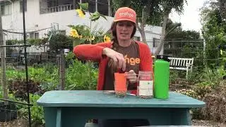 Orange Home Grown Kids Club- Strong Seeds with Miss Betsy