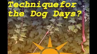 Best Technique for Summer Bass | How to Catch Fish During the Dog Days of Summer