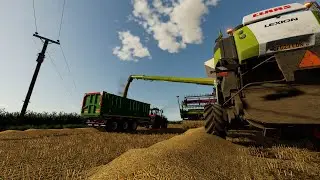 Knuston Farm Episode 11 #farmingsimulator22 #fs22 #fs22timelapse #fs22shorts #fs22mod