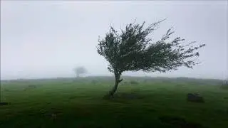Howling Wind | Free Sound Effects | Ambient Sounds
